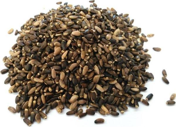 Deve Dikeni Tohumu 1 Kg - Image 1