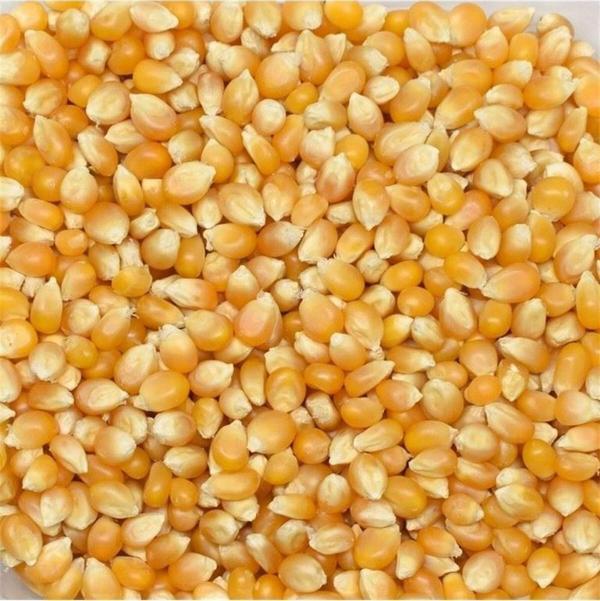 devavit Cin Mısırı 1 Kg - Image 1