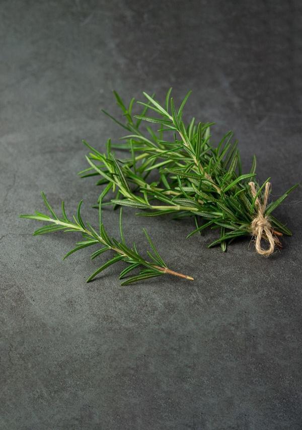 GÜLEN MARKET Üreticiden Ilaçsız 40 Gr. Biberiye Otu Taze Dopal Organik Rosemary - Image 1