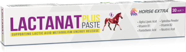 Horse Extra Lactanat Plus Paste 30 Gr - Image 1