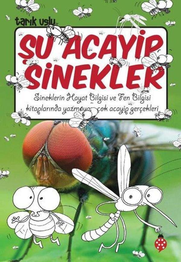 Şu Acayip Sinekler - Uğurböceği - Image 1