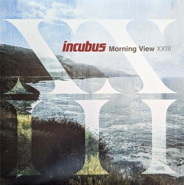Morning View XXIII (Limited Edition Blue Vinyl) Plak - Image 1
