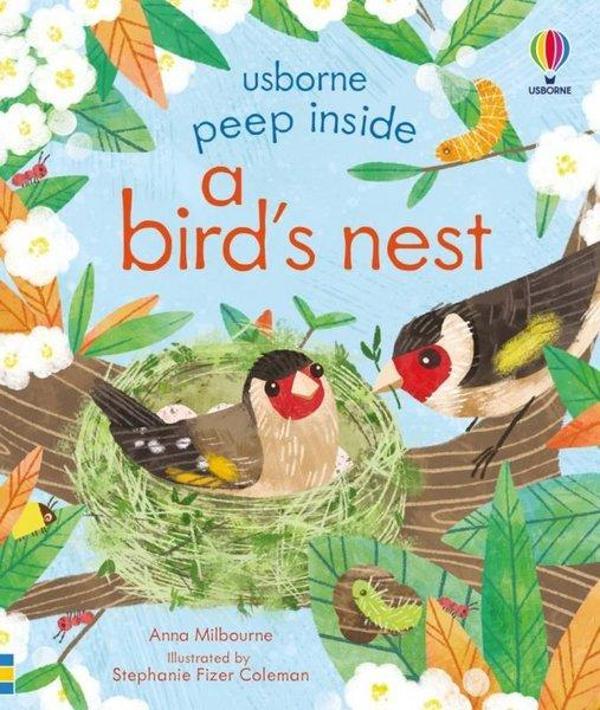 Peep Inside a Bird's Nest - Usborne - Image 1