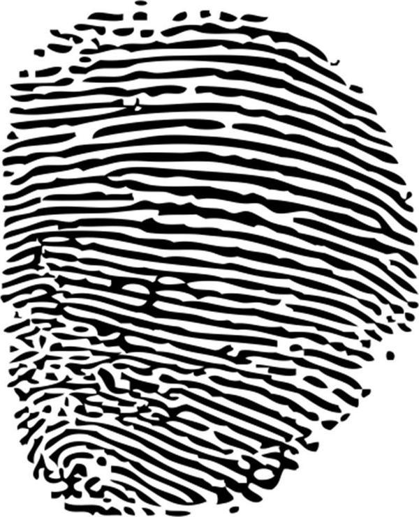 Technopa PARMAK İZİ FOLYO STİCKER 90 cm uzunluk - Image 1