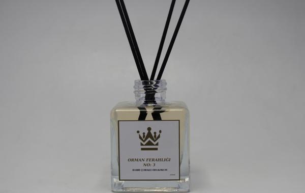 Bambu Çubuklu 2 Adet 100 ML Orman Ferahlığı Oda Kokusu Koku Giderici Ferahlatıcı Hava Temizleyici  2*100 ML - Image 1