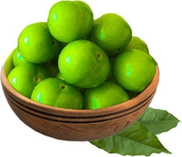 GÜLEN MARKET Yeşil Erik 50 gr 5-6-7 Adet - Image 1