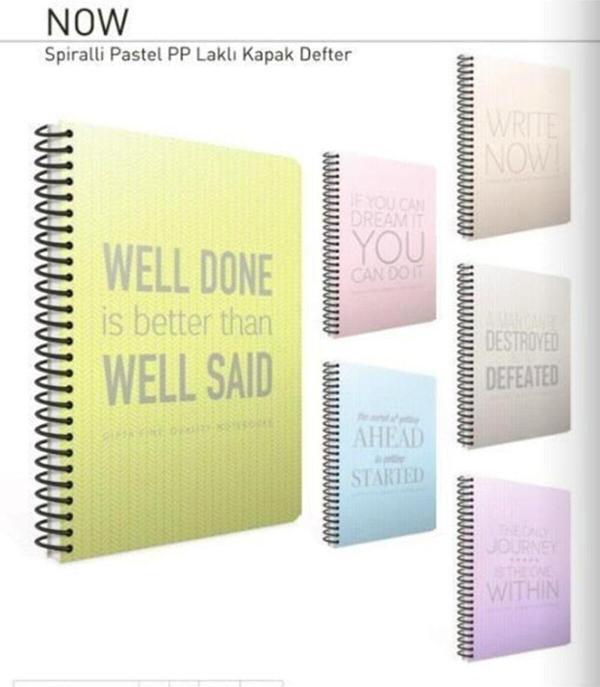 Gıpta Now A4 100 Yaprak Kareli Pp Kapak Spiralli Defter (3272) - Image 1