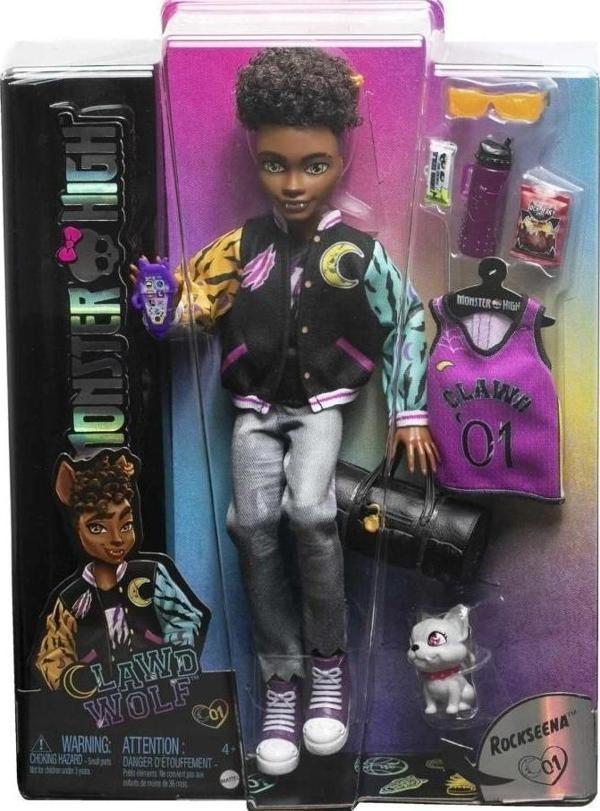 Monster High Ana Karakter Bebekler HPD53 HNF65 Rockseena - Image 1
