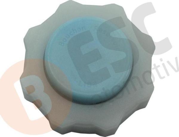 ESC Otomotiv Renault İçin Radyatör Kabı Kapağı MAVİ 7700805032 - Image 1