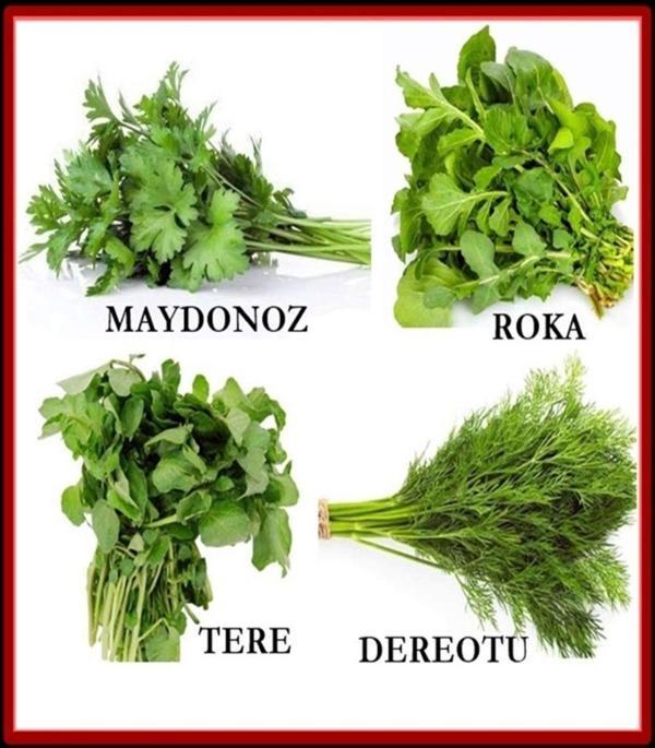 4 ÇEŞİT YEŞİLLİK TOHUM SETİ MAYDANOZ,ROKA,TERE,DEREOTU - Image 1
