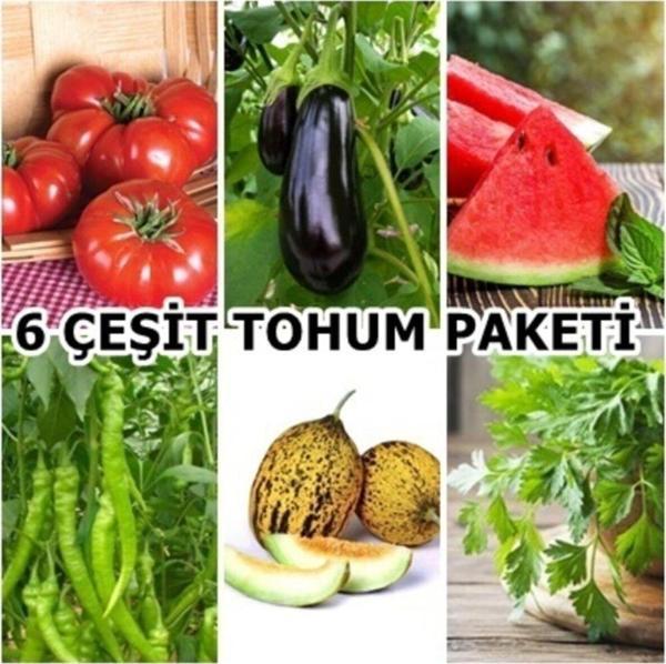 6 Çeşit Ekonomik Tohum Paketi ( Ev Bahçe) - Image 1