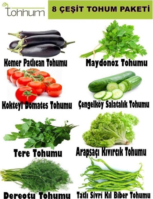 8 Çeşit Tohum Paketi (toplam 2000+ Tohum) - Image 1