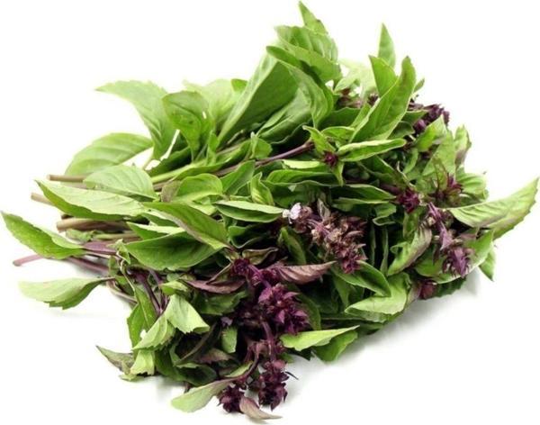 Tarçın Aromalı Fesleğen Tohumu - Image 1