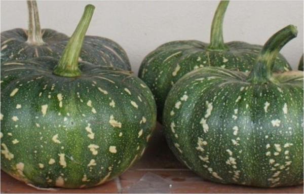 Yeşil Bal Kabak Tohumu - Image 1