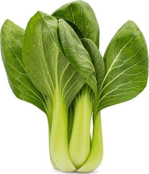 Yeşil Pak Choı - Çin Lahanası Tohumu - Image 1