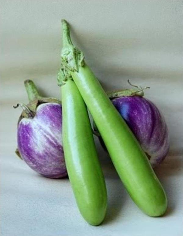 Yeşil Patlıcan* (Thaı Eggplant) - Image 1