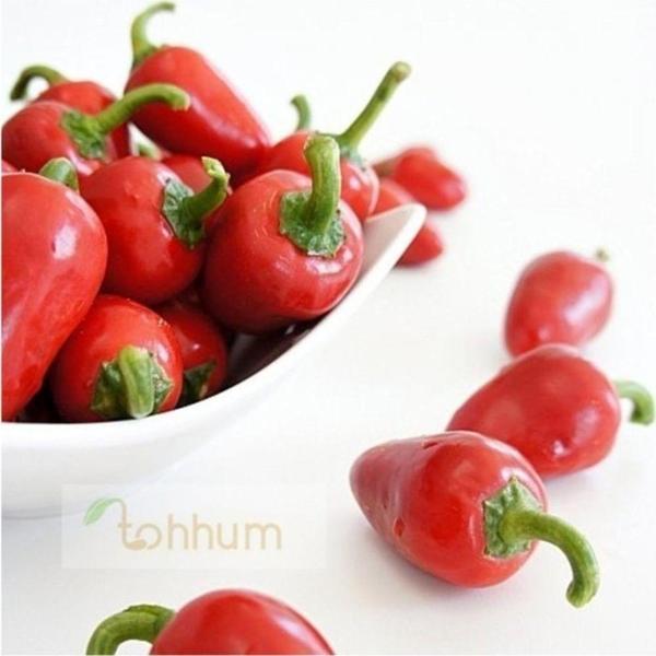 Kiraz Cherry Biber Tohumu - Image 1