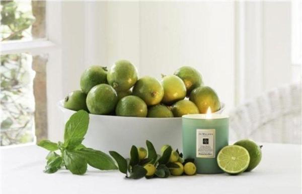 Limon Aromalı Fesleğen Tohumu - Image 1