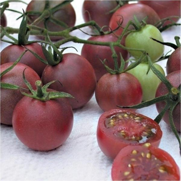 Çikolata Cherry Domates Tohumu - Image 1
