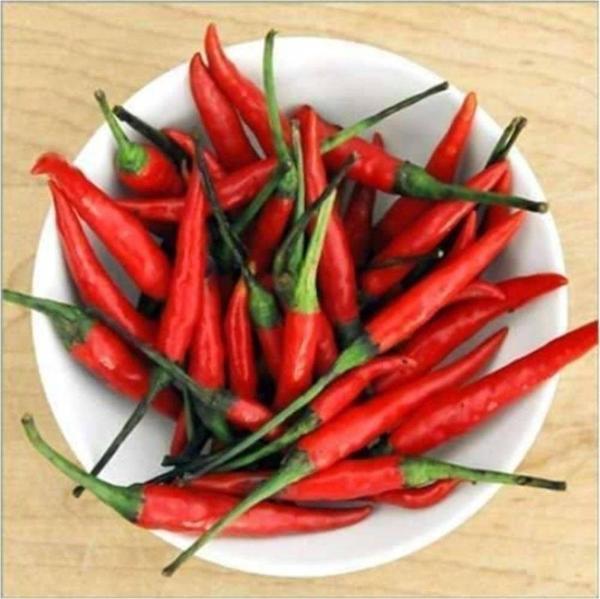 Cin Biberi Tohumu 25+tohum+saksı+toprak - Image 1