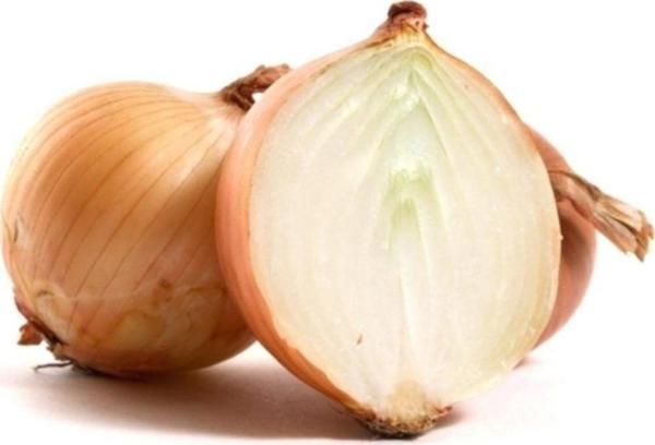 Onion Soğan* 50+ Tohum - Image 1