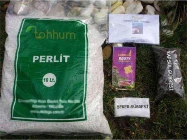 Perlit+köklendirme Tozu+besin - Image 1