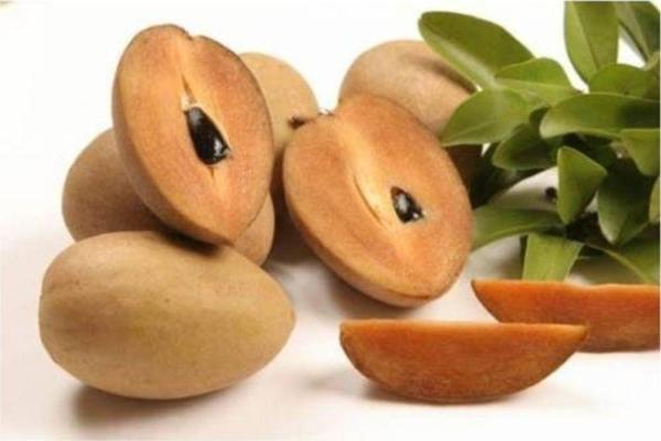 Sapodilla Meyvesi Tohumu - Image 1