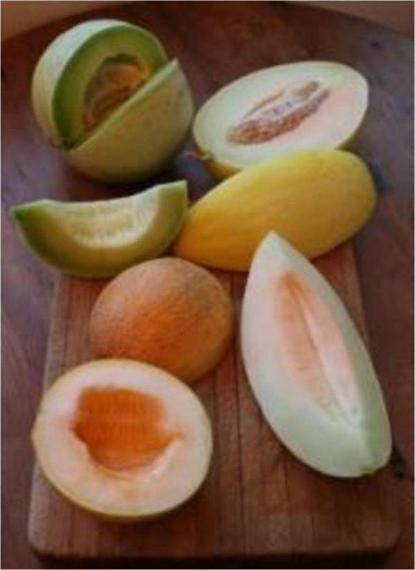 Karışık Kavun Tohumu - Image 1