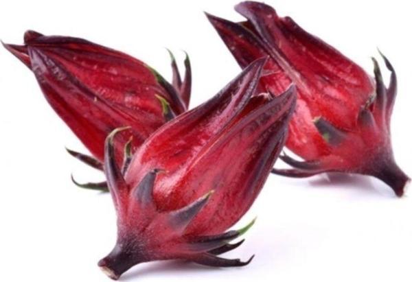 Şifalı Roselle Bitkisi 10+ Tohum - Image 1