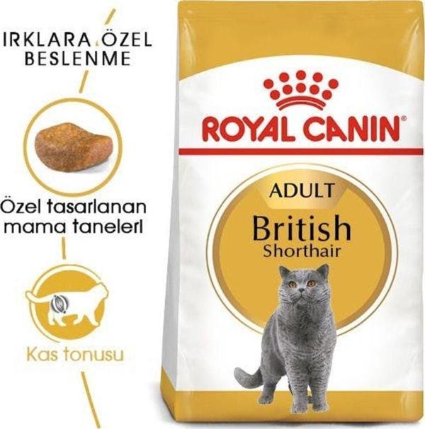 Royal Canin British Shorthair Adult Yetişkin Kedi Maması 2 kg - Image 1