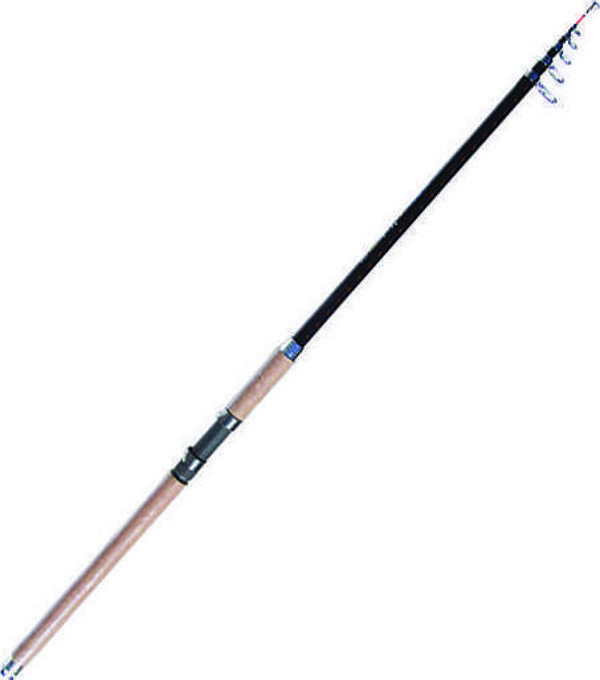Albastar Leader 3234 Olta Kamışı Standart-300CM - Image 1