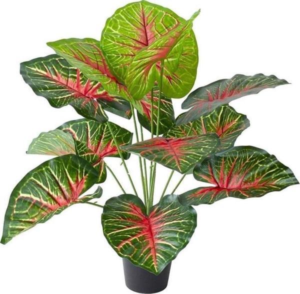 Netten Evime Yapay Çiçek Saksıda Tropik Kızıl Caladium 18 Dal 70 cm Salon Çiçeği Yapay Bitki - Image 1