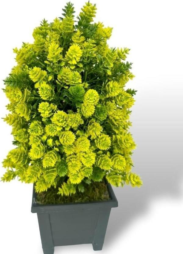 Netten Evime Yapay Çiçek Bonsai Ağacı Sarı Kozalak Model Dekoratif Yapay Ağaç Bonzai 30*15 cm Siyah Kare Saksıda - Image 1