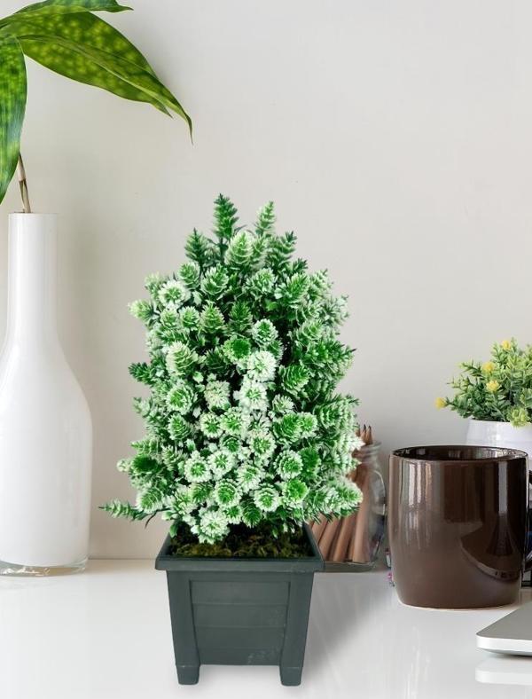 Netten Evime Yapay Çiçek Bonsai Ağacı Beyaz Kozalak Model Dekoratif Yapay Ağaç Bonzai 30*15 cm Siyah Kare Saksıda - Image 1