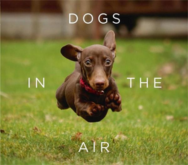 Dogs in the Air - Orion Books - Image 1