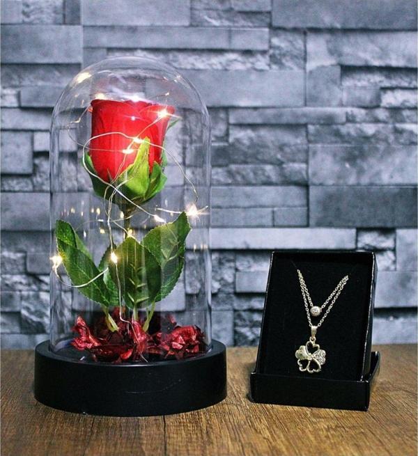 Adm Store Fanusta Işıklı Kırmızı Gül Kolye Seti Şeffaf Mika Fanus - Image 1