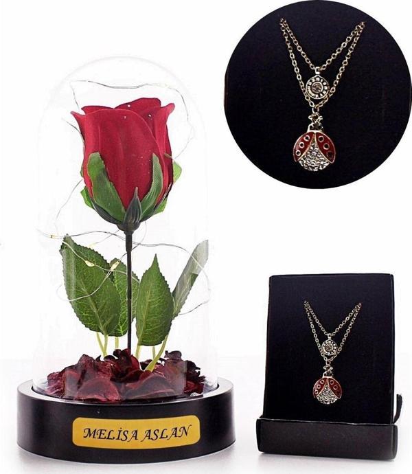 Adm Store Sevgiliye Eşe Hediye Kişiye Özel Fanusta Led Işıklı Kırmızı Gül Ve Uğur Böceği Kolye Seti Mika Fanus - Image 1