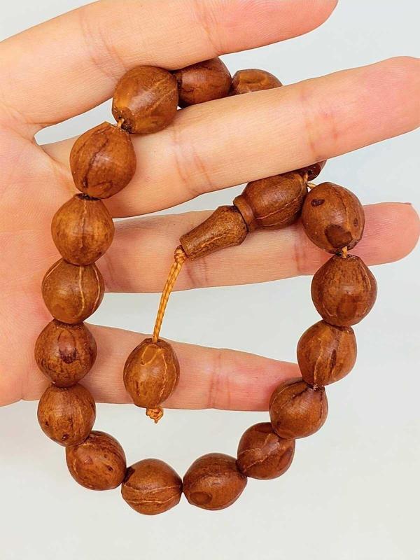 Andız Ağacı 17lik Efe Tesbih 12*13mm (44450) - Image 1