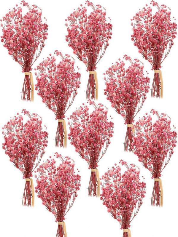 Netten Evime 10lu Set Kuru Çiçek Doğal PEMBE AÇIK Cipso Şoklanmış Bozulmaz - Image 1