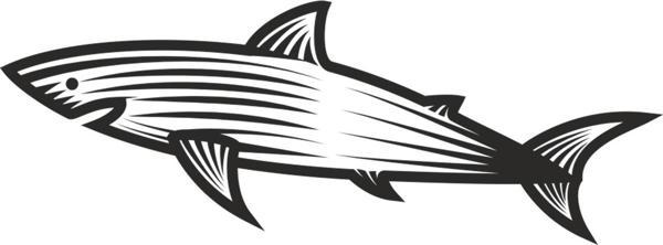 KÖPEK BALIĞI FOLYO STİCKER 100cm Uzunluk - Image 1