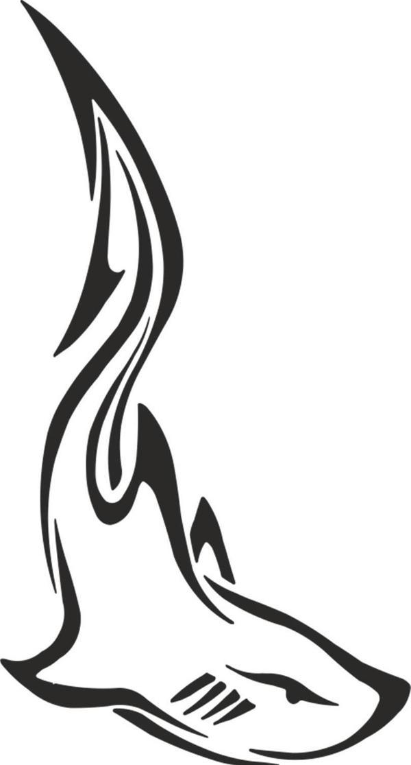 KÖPEK BALIĞI FOLYO STİCKER 200cm Uzunluk - Image 1