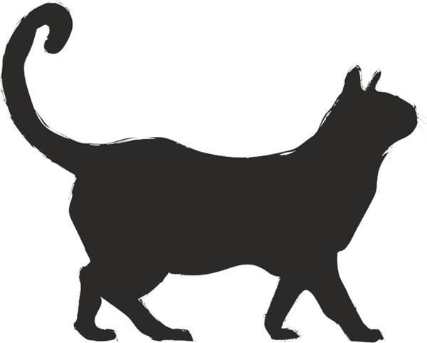 KEDİ FOLYO STİCKER 30cm Uzunluk - Image 1