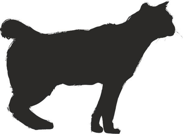 KEDİ FOLYO STİCKER 40cm Uzunluk - Image 1