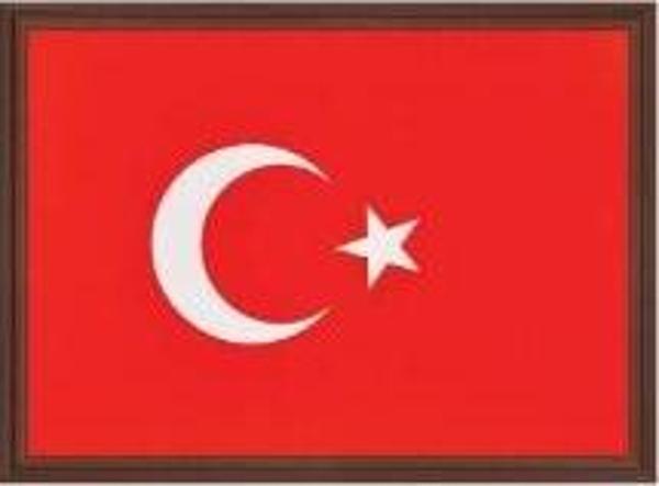 PANDA TÜRK BAYRAĞI MDF ÇERÇEVE 35x50 - Image 1