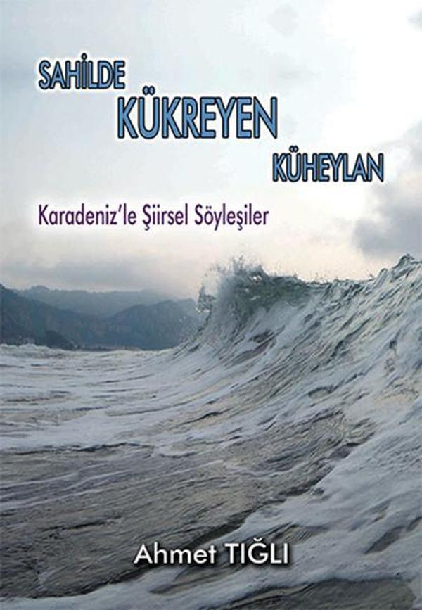 Sahilde Kükreyen Küheylan - Tunç Yayıncılık - Image 1