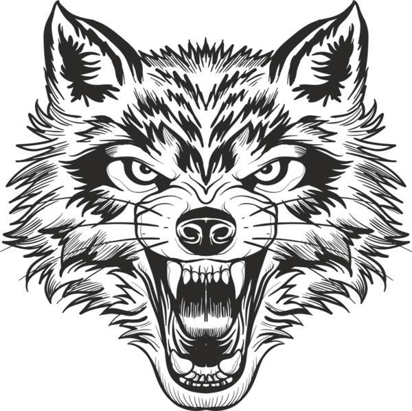 KURT FOLYO STİCKER 100cm Uzunluk - Image 1