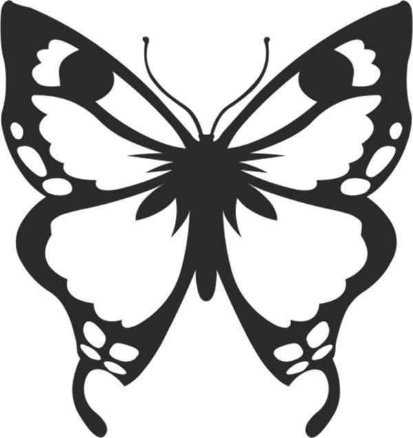 KELEBEK FOLYO STİCKER 30cm Uzunluk - Image 1