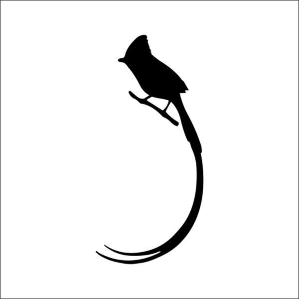 KUŞ FOLYO STİCKER 200cm Uzunluk - Image 1