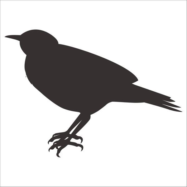 KUŞ FOLYO STİCKER 20cm uzunluk - Image 1