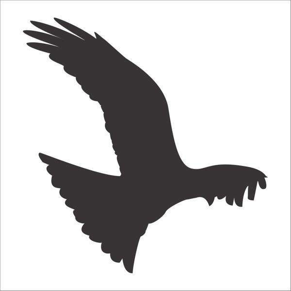 KUŞ FOLYO STİCKER 30cm Uzunluk - Image 1